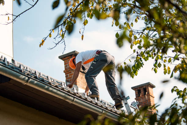Best Roof Leak Repair  in Oak Valley, NJ